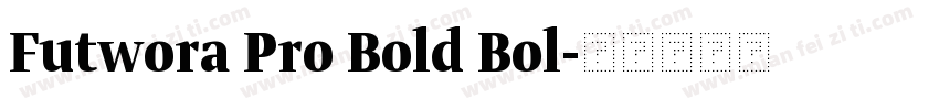 Futwora Pro Bold Bol字体转换